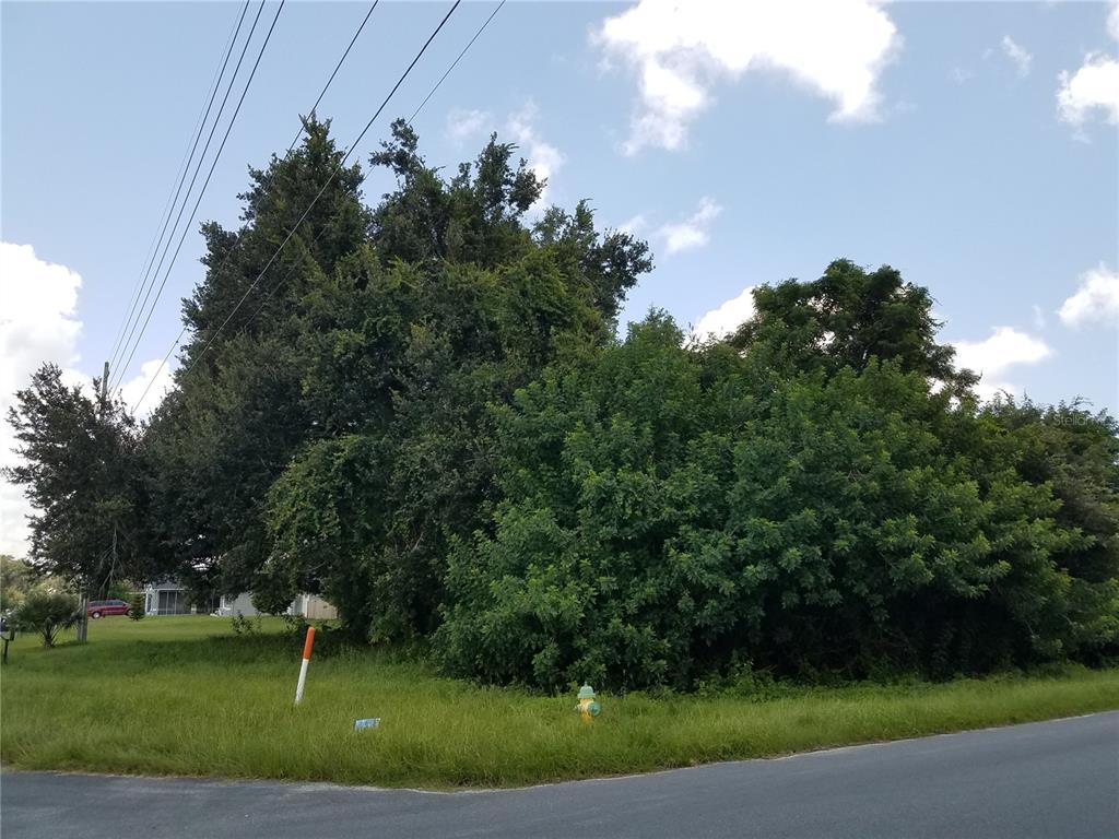 A grassy corner lot features a fire hydrant, a marker post, and dense mature trees — PATRICIA STREET, KISSIMMEE, FL