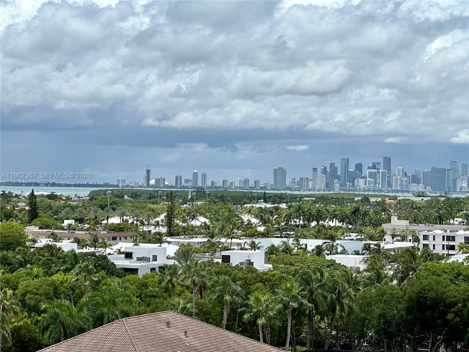An elevated view shows a dense canopy of trees and buildings overlooking a distant city skyline — 785 Crandon Blvd # 803, Key Biscayne FL 33149, KEY BISCAYNE, FL