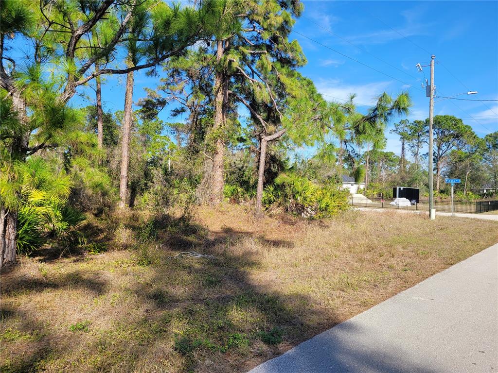A vacant, wooded lot sits beside a paved road with a street sign visible — 236 PINOLA AVENUE S, LEHIGH ACRES, FL