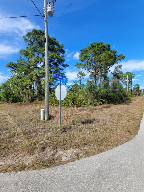 A street sign at the corner of a grassy, wooded lot with a utility pole — 236 PINOLA AVENUE S, LEHIGH ACRES, FL