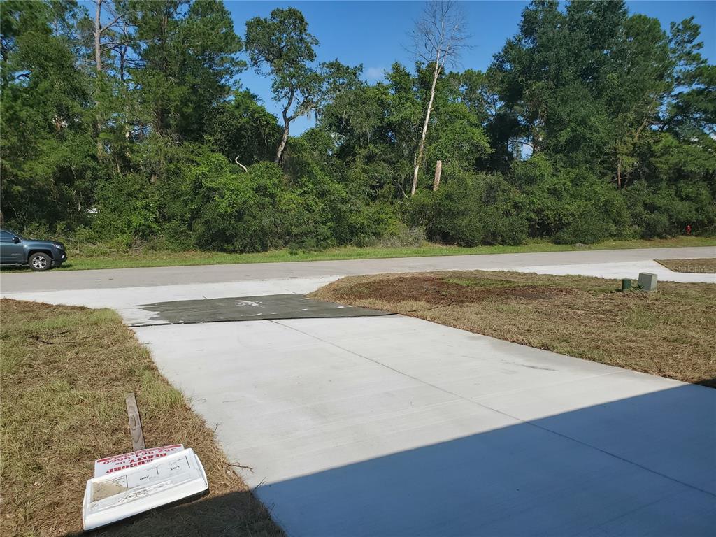A concrete driveway leads from a paved road toward a wooded area — 528 MARION OAKS LANE, OCALA, FL