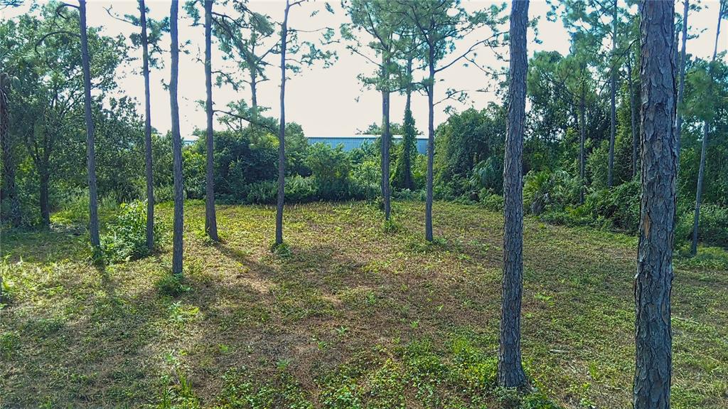 4685 RIVERSIDE DRIVE, PUNTA GORDA, FL — photo 3 of 14