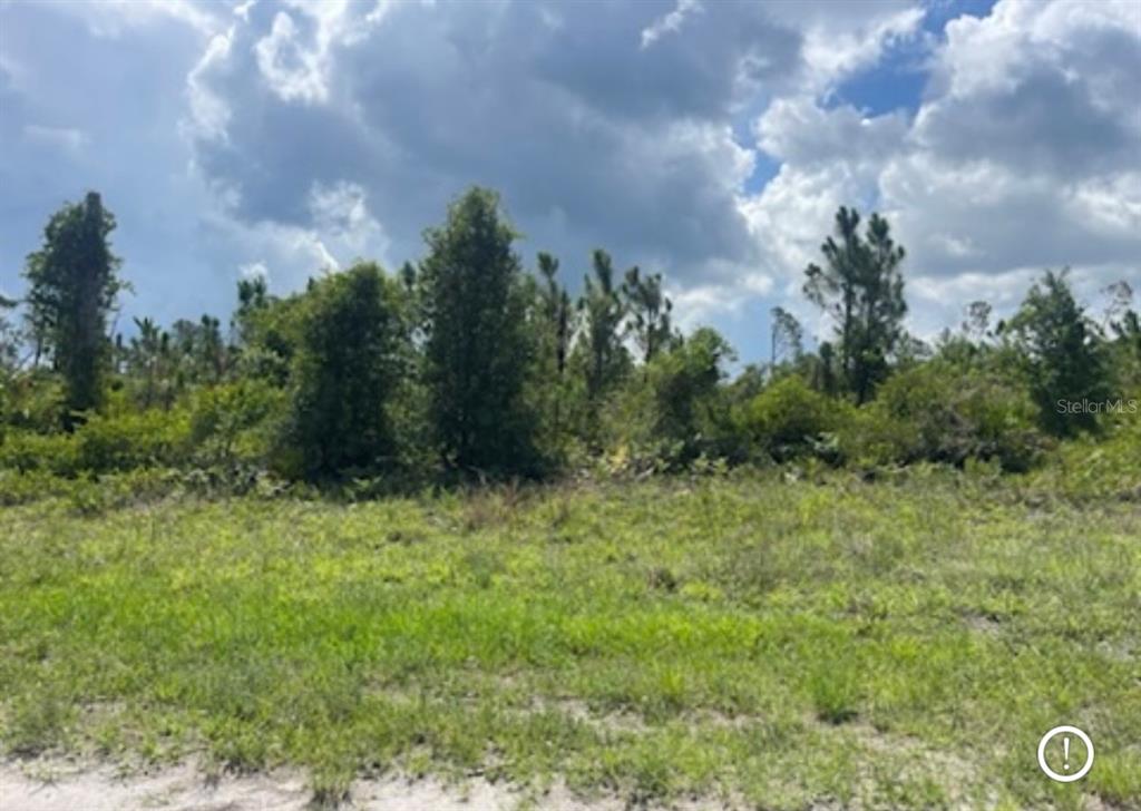 Lot 2 JOEWOOD CIRCLE, NORTH PORT, FL — photo 3 of 30