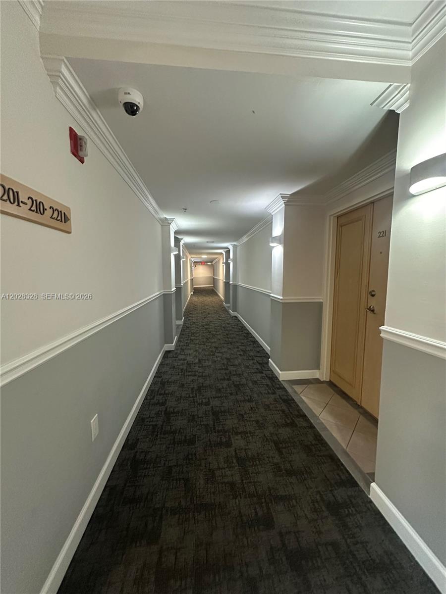 A long apartment building hallway features gray walls, dark patterned carpeting, and unit 221 — 9755 NW 52nd St # 219, Doral FL 33178, DORAL, FL