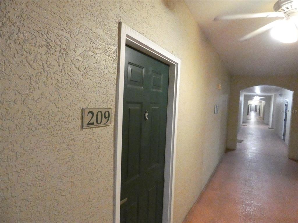 A dark green door labeled 209 is located in a long, beige apartment hallway — 1216 S MISSOURI AVENUE UNIT 209, CLEARWATER, FL