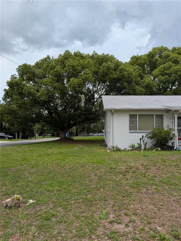 A large tree stands next to the side of a white, single-story residential building — 11240 SE 53RD COURT, BELLEVIEW, FL
