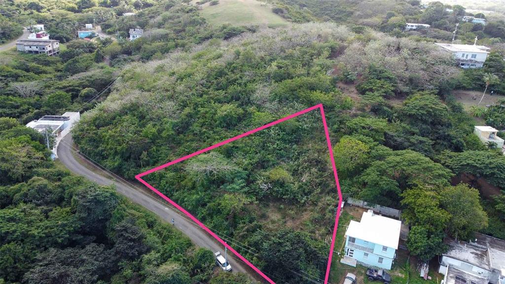 An aerial view shows a triangular plot of land bordered by a road and trees — 115 CALLE CONDE DE MIRASOL, VIEQUES, PR