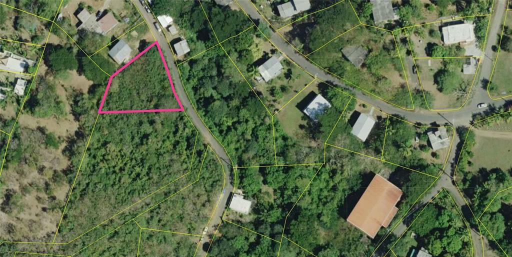 An aerial view shows a vacant, irregularly shaped lot outlined in pink along a road — 115 CALLE CONDE DE MIRASOL, VIEQUES, PR
