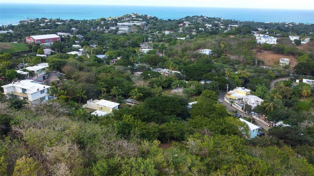 An aerial view shows a hillside neighborhood with scattered houses surrounded by dense green trees — 115 CALLE CONDE DE MIRASOL, VIEQUES, PR