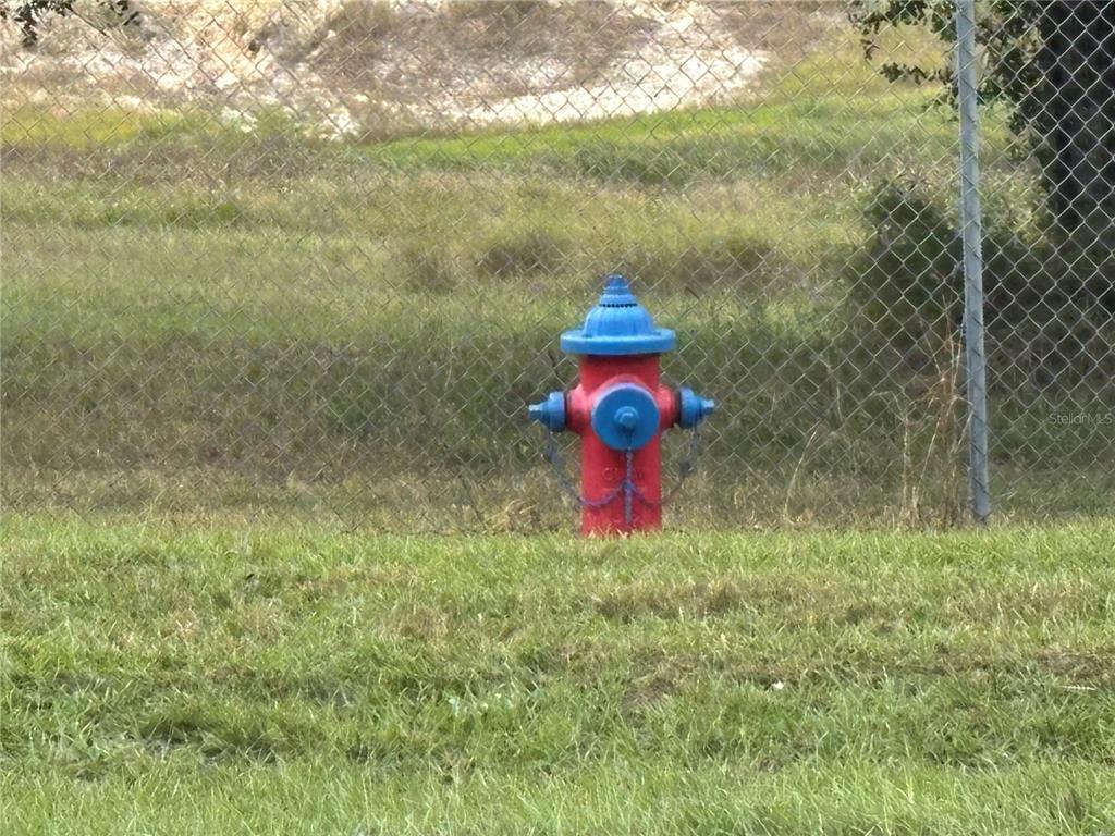 A red and blue fire hydrant stands in a grassy area in front of a fence — 3427 GOLDEN GEM ROAD, APOPKA, FL