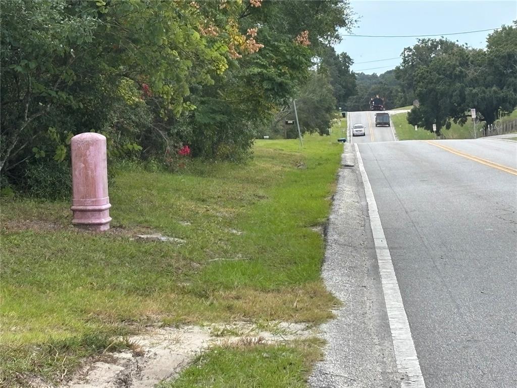 A pink bollard stands on the grassy shoulder beside a paved road with oncoming traffic — 3427 GOLDEN GEM ROAD, APOPKA, FL