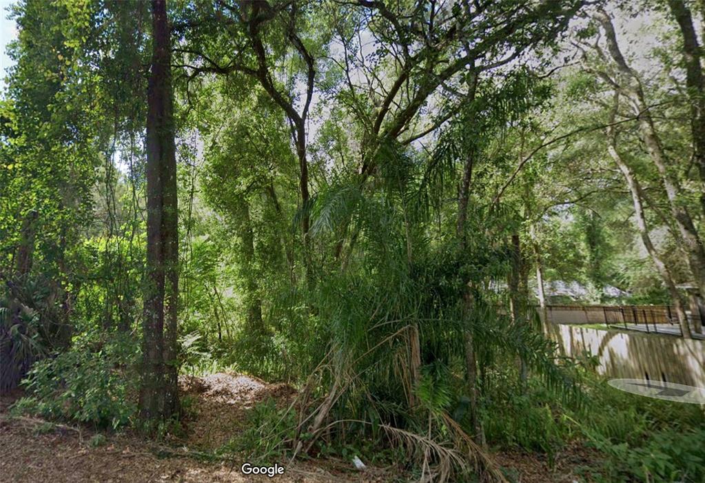 A dense, wooded lot with mature trees and foliage bordering a residential fence — 1160 19TH STREET, ORANGE CITY, FL