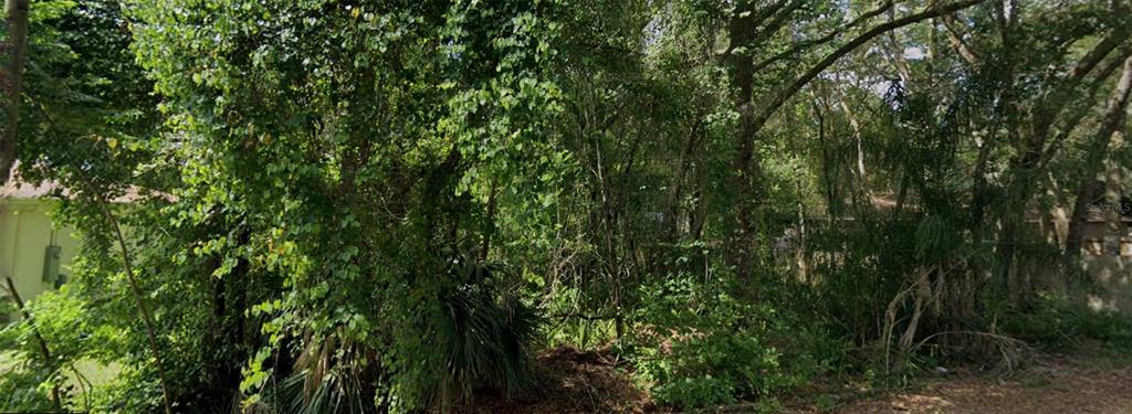 A dense, wooded lot with mature trees and thick undergrowth next to a house — 1160 19TH STREET, ORANGE CITY, FL