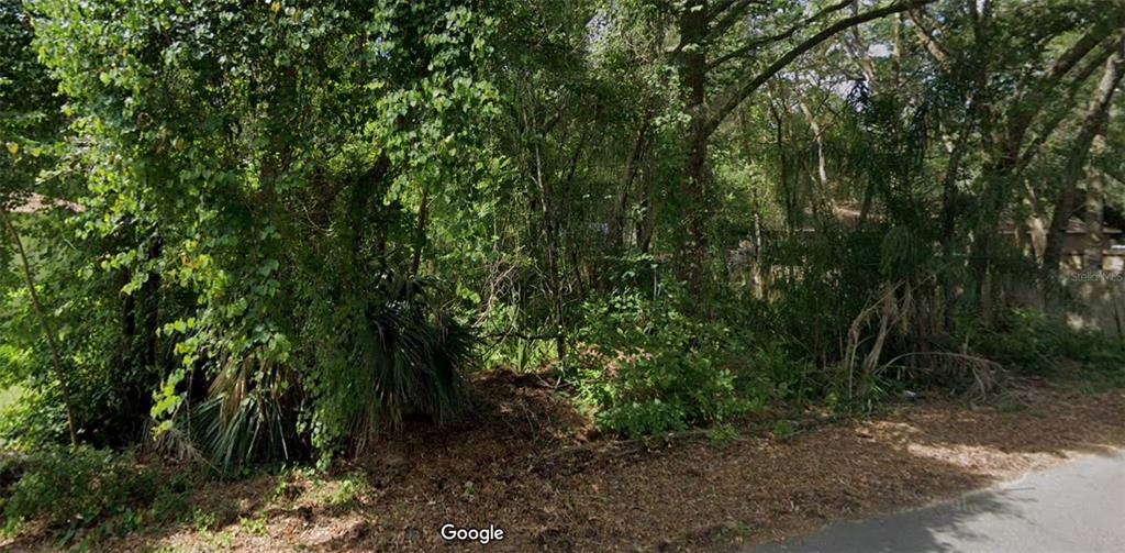 A densely wooded, undeveloped lot with thick vegetation and trees along a paved road — 1160 19TH STREET, ORANGE CITY, FL