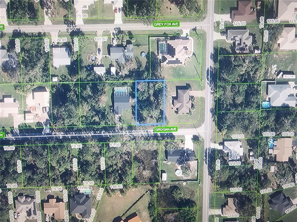 This is an aerial map showing a vacant residential lot highlighted in blue — 904 GROGAN AVENUE, SEBRING, FL