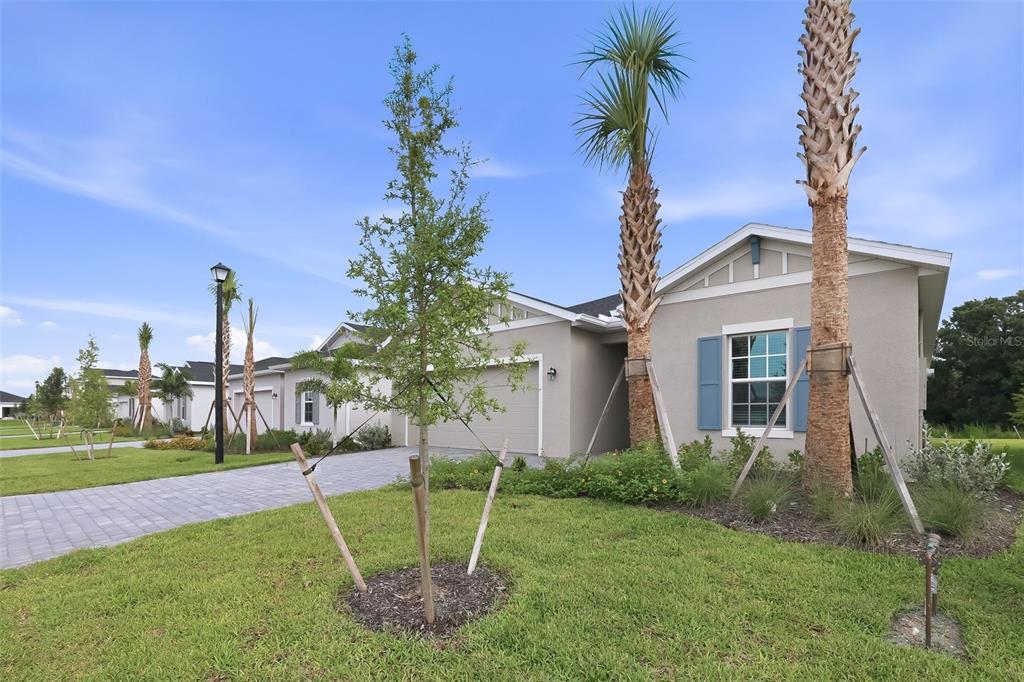 A single-story house with a gray stucco exterior, a paved driveway, and two palm trees — 26639 WILGROVE PLACE, PUNTA GORDA, FL