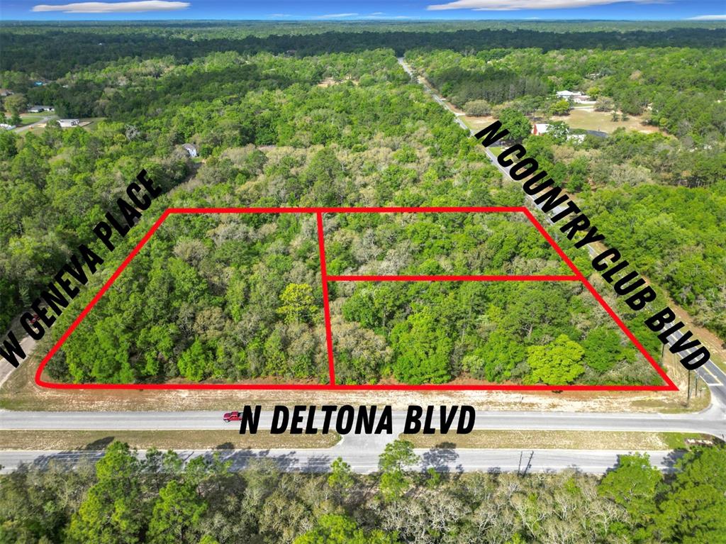 An aerial view shows three adjacent wooded lots outlined in red near a paved road — 8808 N DELTONA BOULEVARD, CITRUS SPRINGS, FL