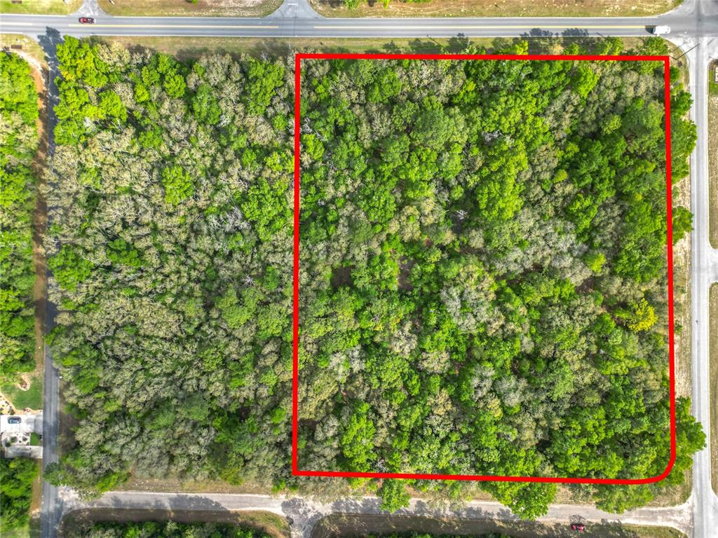 An aerial view shows a rectangular, tree-covered plot of land outlined in red — 8808 N DELTONA BOULEVARD, CITRUS SPRINGS, FL