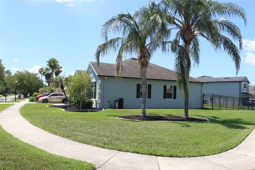A light-colored house with a dark roof and two palm trees in the front yard — 2500 CORBYTON COURT, ORLANDO, FL