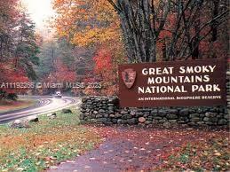 A wooden sign for Great Smoky Mountains National Park stands beside a winding autumn road — 234 SYCAMORE LANE, TN 37738, TN
