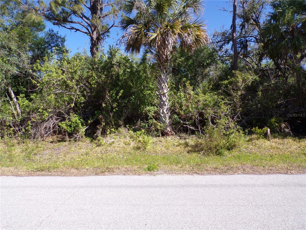 A view of a vacant, wooded lot with a palm tree from the street — 26074 SCHAM ROAD, PUNTA GORDA, FL