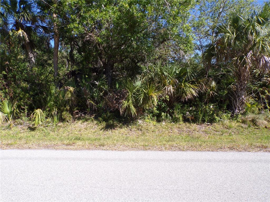 A paved road runs in front of a densely wooded lot with various palm trees — 26074 SCHAM ROAD, PUNTA GORDA, FL