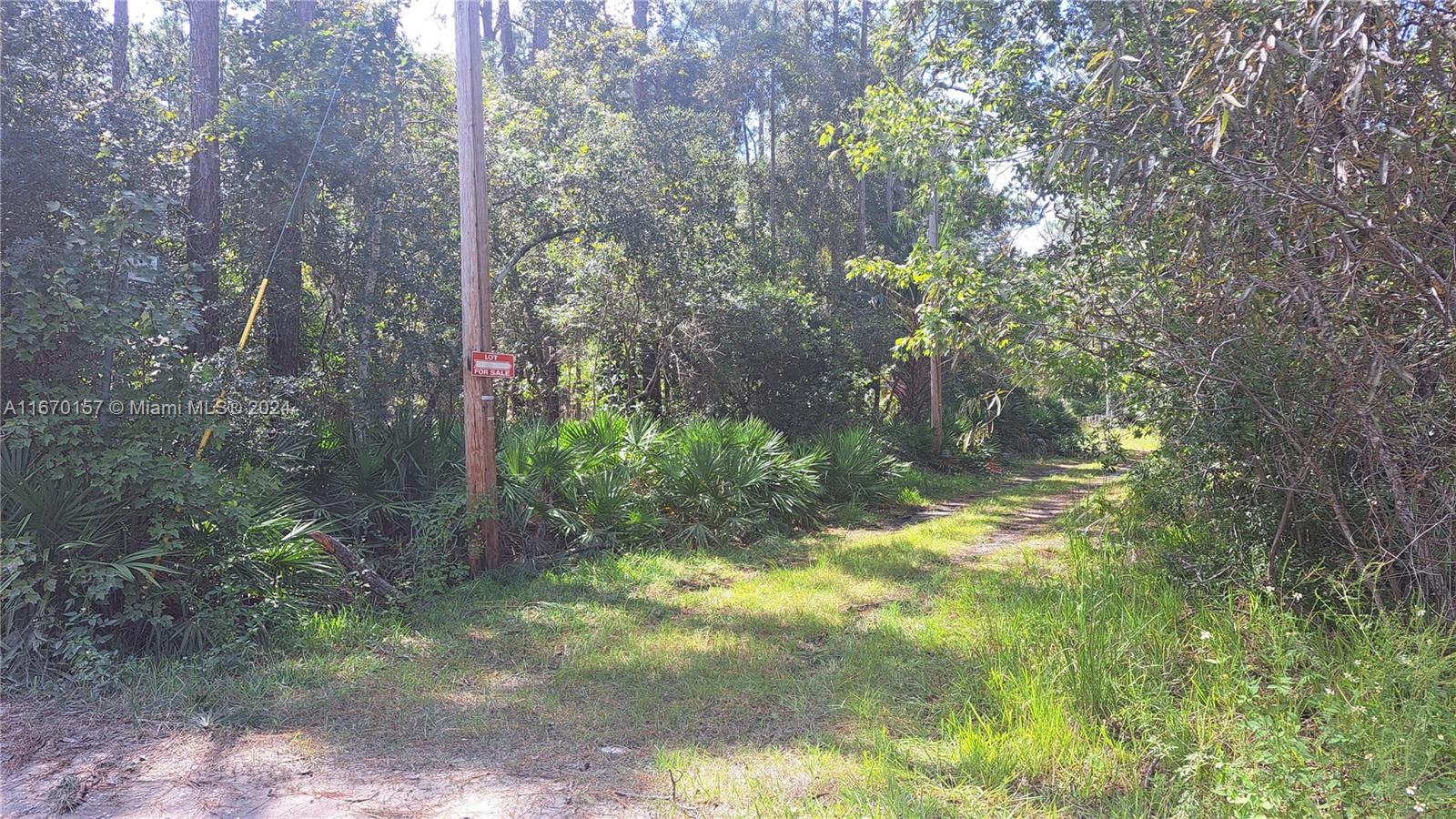 A dirt path leads into a wooded lot with a for sale sign on a pole — UNDETERMINED NE 42nd ST, Ocala FL 34488, OCALA, FL