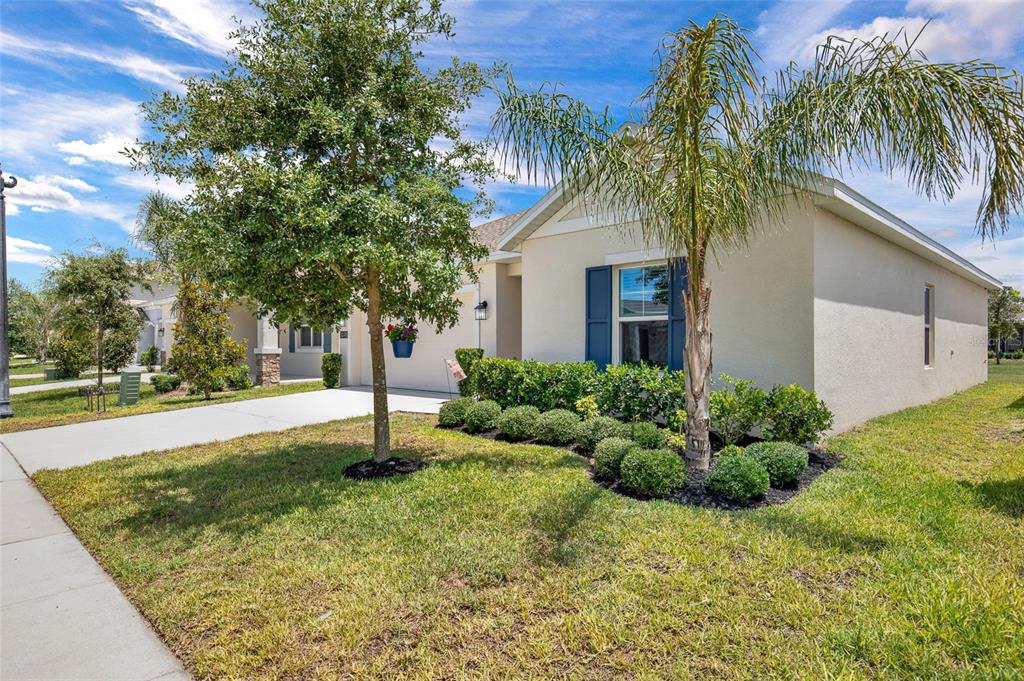 A single-story house with a beige stucco exterior, blue shutters, and a palm tree — 3078 BLUE BONNET LANE, OSTEEN, FL