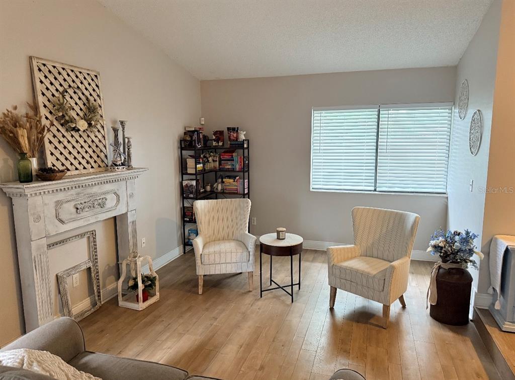 A living room features a decorative fireplace, two patterned armchairs, and a bookshelf — 4303 ELLENVILLE PLACE, VALRICO, FL