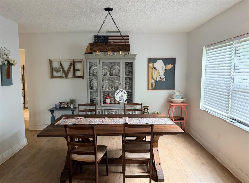 A dining room features a wooden table, a gray hutch, and a cow painting — 4303 ELLENVILLE PLACE, VALRICO, FL