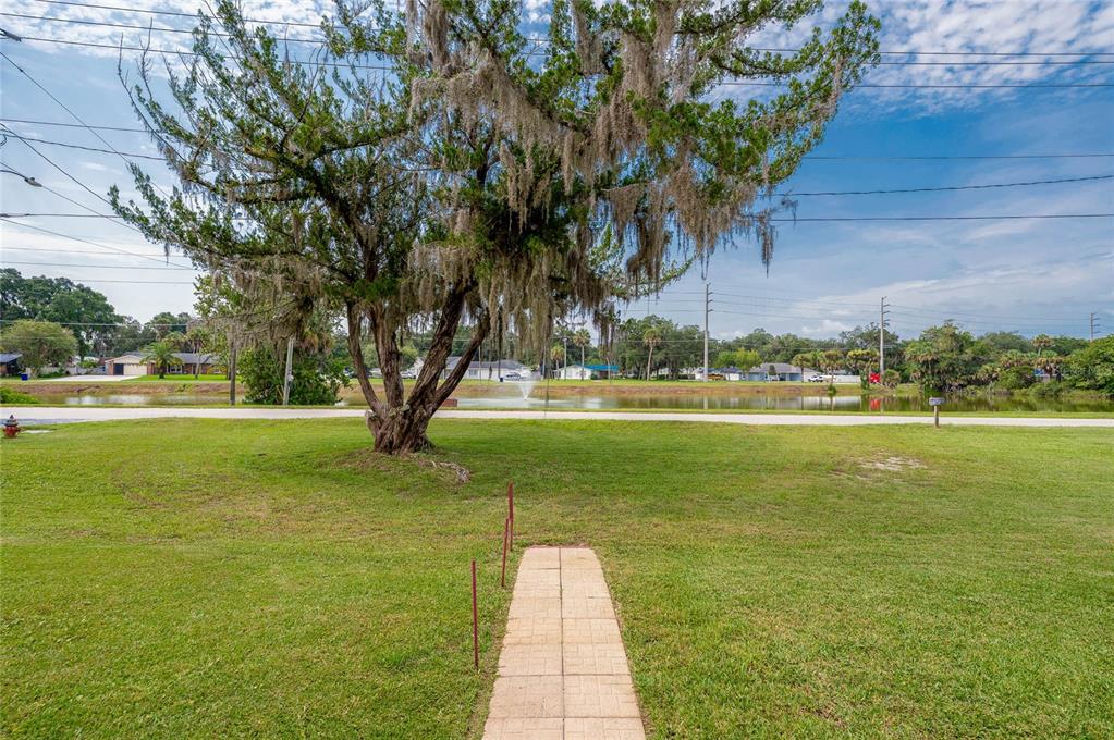 A grassy front yard features a large tree with Spanish moss and a paved walkway — 1101 16TH STREET, EDGEWATER, FL