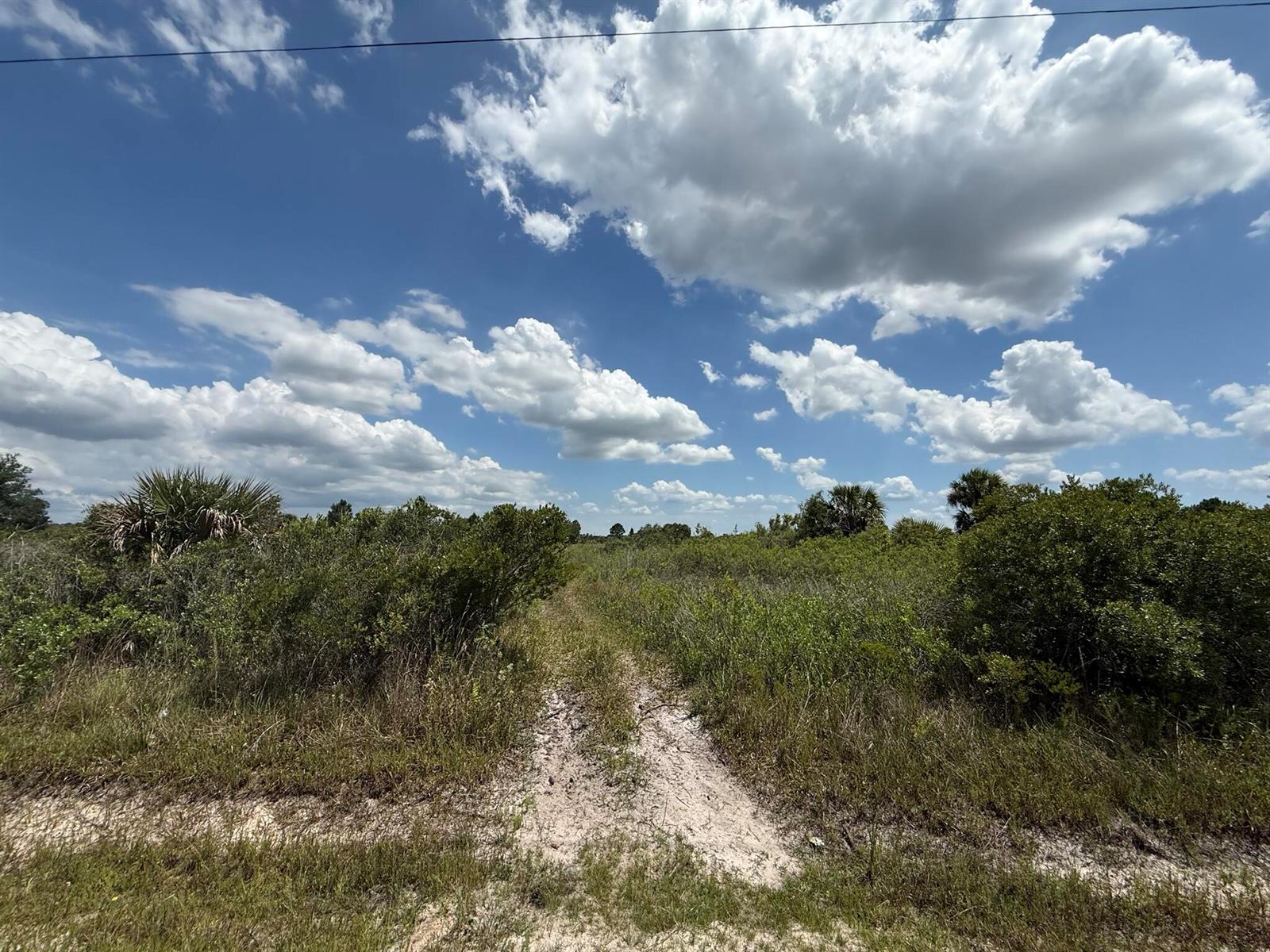 A sandy dirt path leads through a grassy, shrub-filled field under a cloudy blue sky — 16162 NW 290th Street, Okeechobee FL 34972, OKEECHOBEE, FL