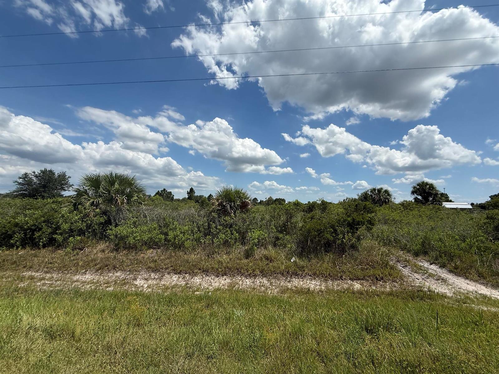 A grassy, undeveloped lot features low-lying shrubs, several palm trees, and a dirt path — 16162 NW 290th Street, Okeechobee FL 34972, OKEECHOBEE, FL