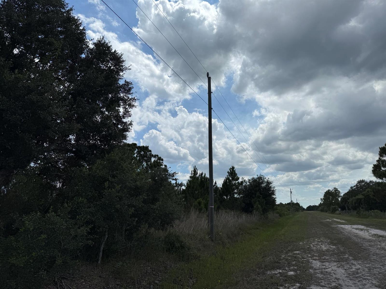 A utility pole stands beside a dirt road next to a line of trees — 16162 NW 290th Street, Okeechobee FL 34972, OKEECHOBEE, FL