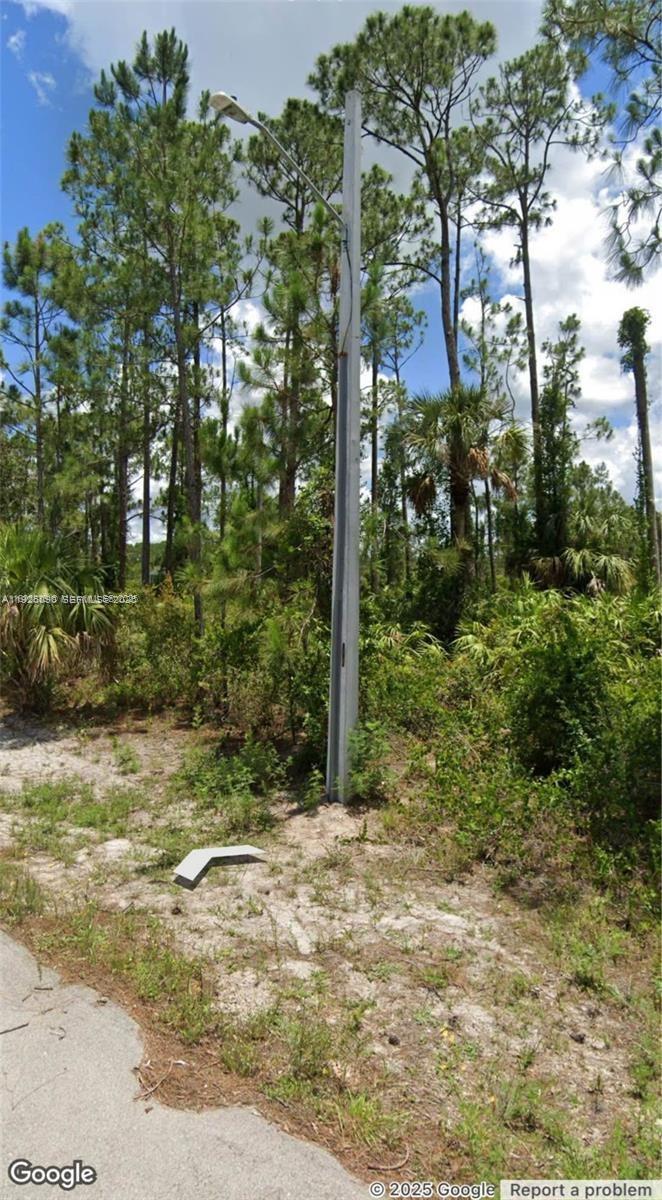 A utility pole with a street light stands in a wooded, undeveloped lot — 3418 71st ST W, Lehigh Acres FL 33971, LEHIGH ACRES, FL