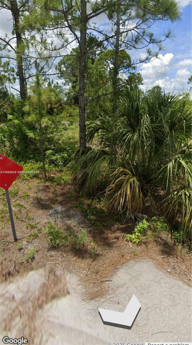 A red triangular road sign stands beside a wooded lot with pine trees and palmettos — 3418 71st ST W, Lehigh Acres FL 33971, LEHIGH ACRES, FL