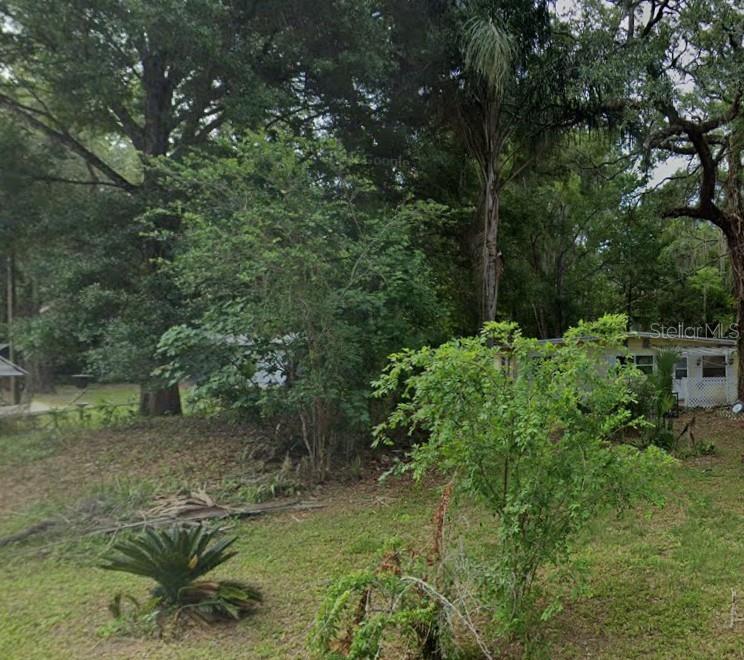 A small house sits nestled among dense trees and lush vegetation in a wooded yard — 10600 and 10603 W OLIVER STREET, HOMOSASSA, FL