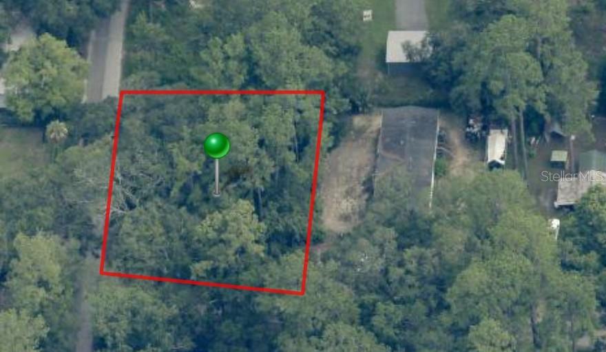 An aerial view shows a wooded, rectangular lot marked with a green pin — 10600 and 10603 W OLIVER STREET, HOMOSASSA, FL