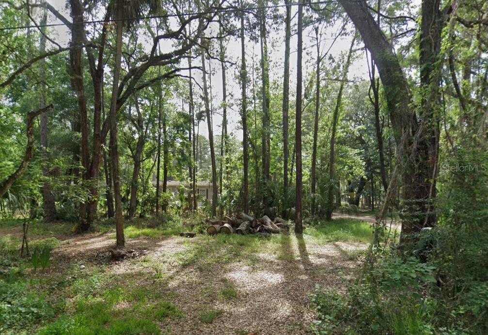A wooded lot features a pile of cut logs in the center of the clearing — 10600 and 10603 W OLIVER STREET, HOMOSASSA, FL