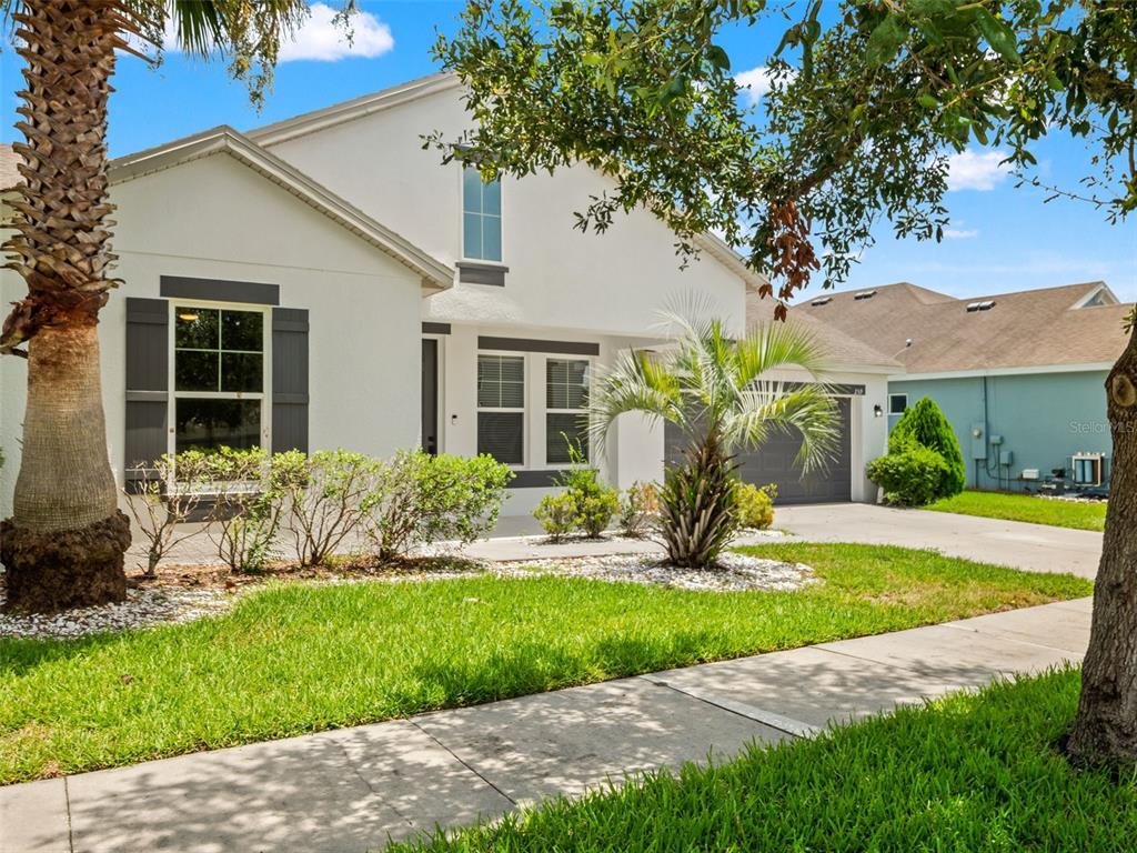 A white single-story house with gray shutters and a palm tree in the front yard — 259 BLUE CYPRESS DRIVE, GROVELAND, FL