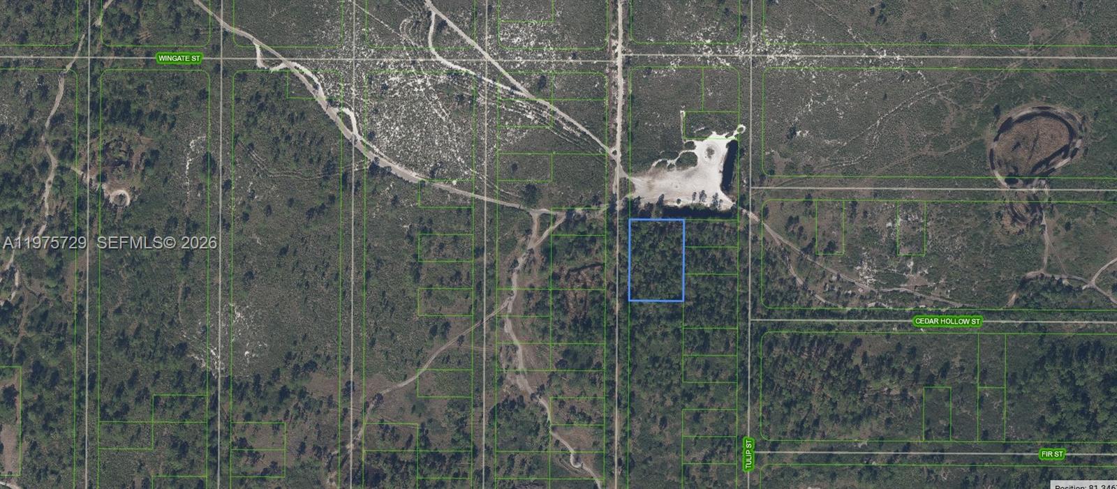 881 Papaya Street, Lake Placid FL 33852