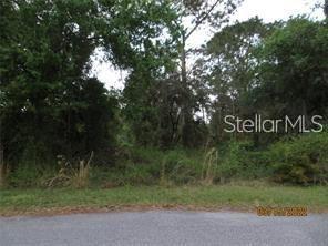 A view of a wooded, undeveloped residential lot from an adjacent paved street — GAGSTATTER ROAD, NORTH PORT, FL