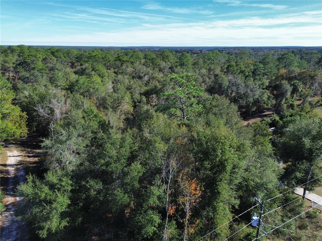 An aerial view shows a dense forest with a dirt path and utility lines — 0 SE 178TH AVENUE, SILVER SPRINGS, FL
