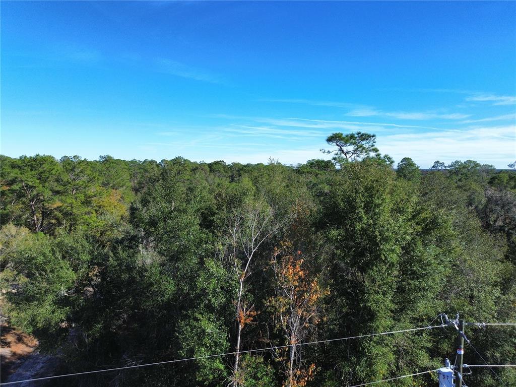 An aerial view shows a dense forest under a clear blue sky — 0 SE 178TH AVENUE, SILVER SPRINGS, FL