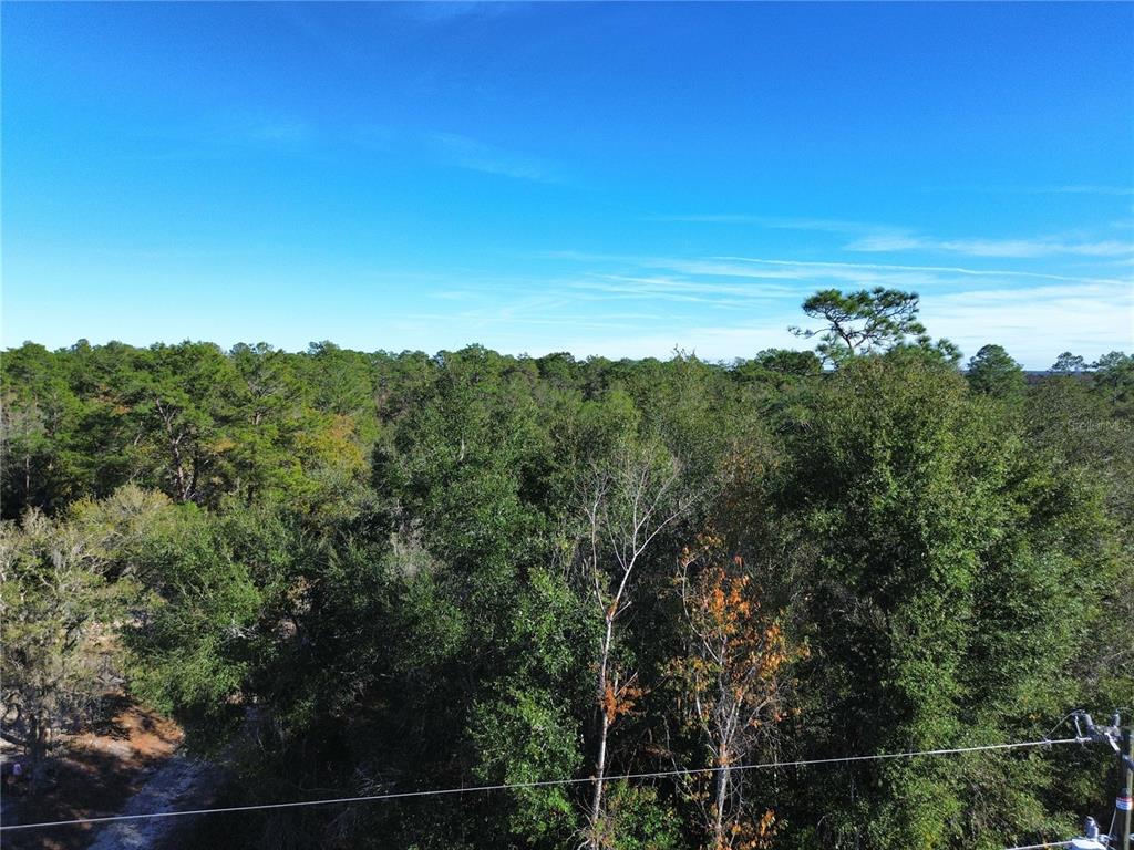 An elevated view shows a dense forest under a clear blue sky — 0 SE 178TH AVENUE, SILVER SPRINGS, FL