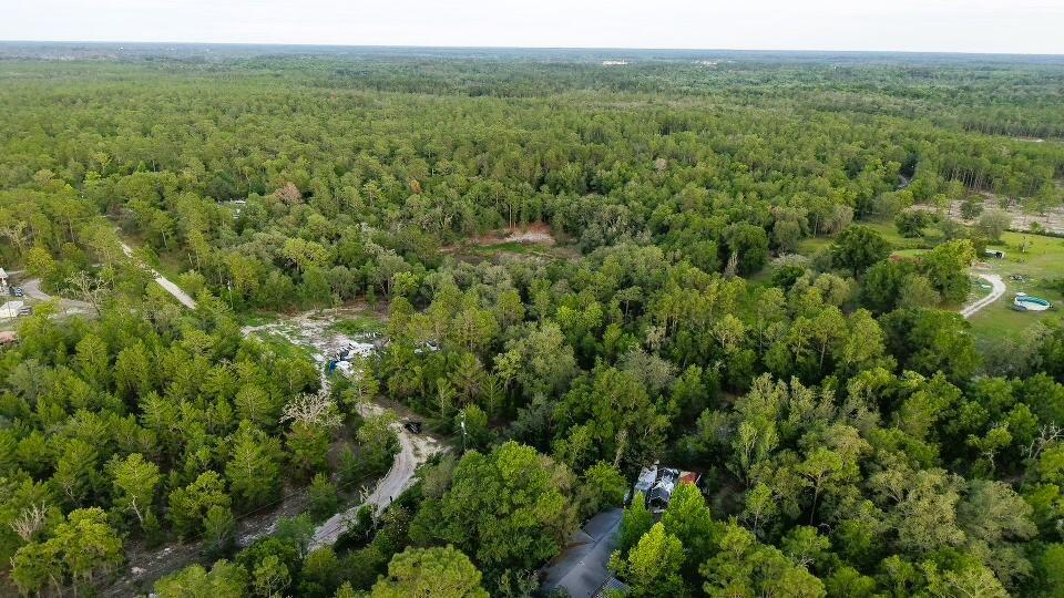 An aerial view shows a house nestled within a dense, wooded forest landscape — 121 Susan Road, FL 32640, FL