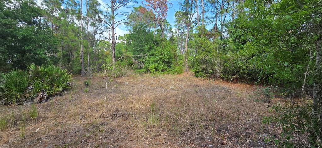 A vacant, wooded residential lot with dry grass and scattered trees under a blue sky — 27402 MANDALAY DRIVE, PUNTA GORDA, FL