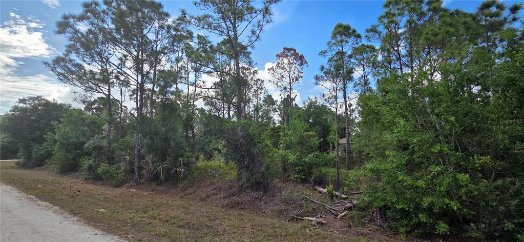 A dirt road runs alongside a wooded lot filled with pine trees and dense vegetation — 27402 MANDALAY DRIVE, PUNTA GORDA, FL