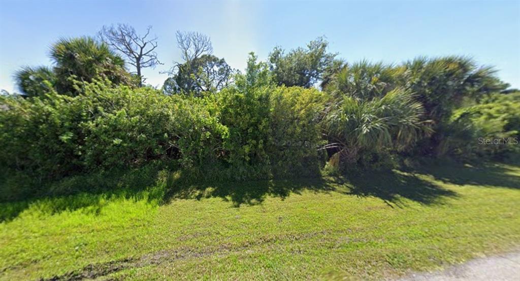 A grassy lot is densely overgrown with various trees and shrubs under a clear sky — 3428 LINDGREEN STREET, PORT CHARLOTTE, FL