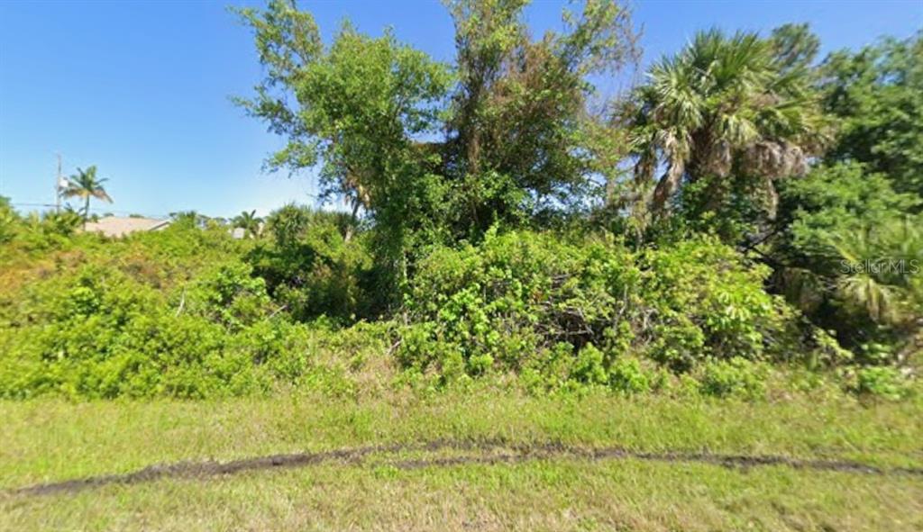 A vacant, overgrown lot with dense green vegetation and several trees under a blue sky — 3428 LINDGREEN STREET, PORT CHARLOTTE, FL